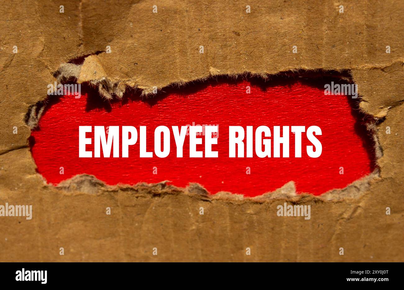 Employee rights message written on torn cardboard paper with red ...