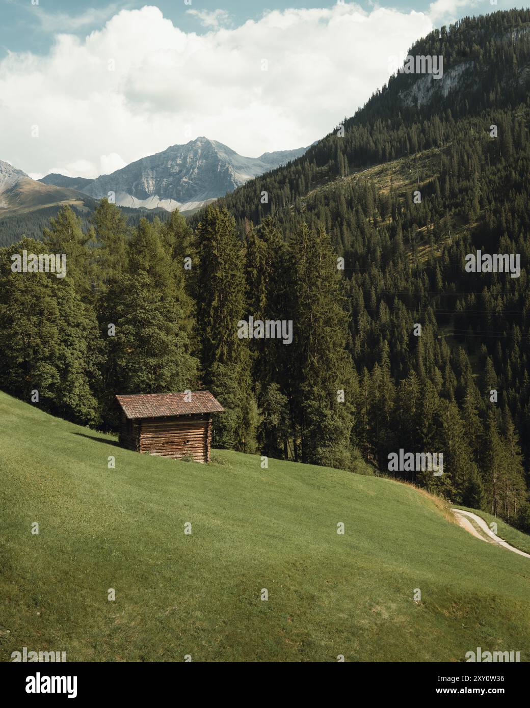 A solitary wooden cabin sits on a lush green hillside in the Swiss Alps ...