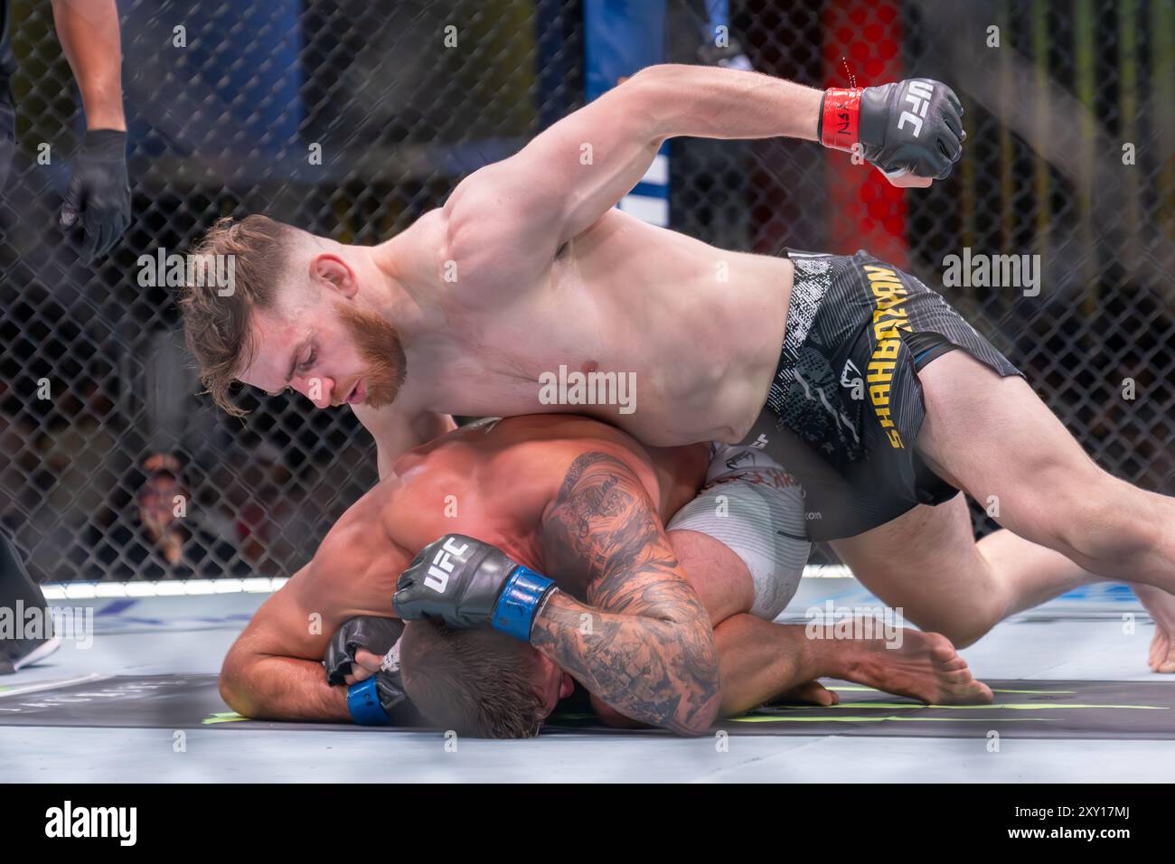 UFC Middleweight Edmen Shahbazyan ground and pound Gerald Meerschaert during UFC on ESPN 62  at UFC Apex Stock Photo