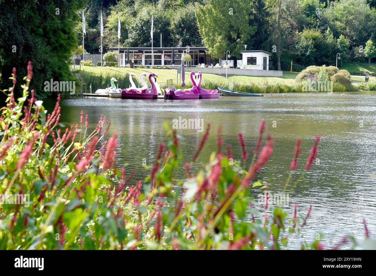 Der DeutschFranzösischeGarten am Freitag 23.08.2024 in Saarbrücken