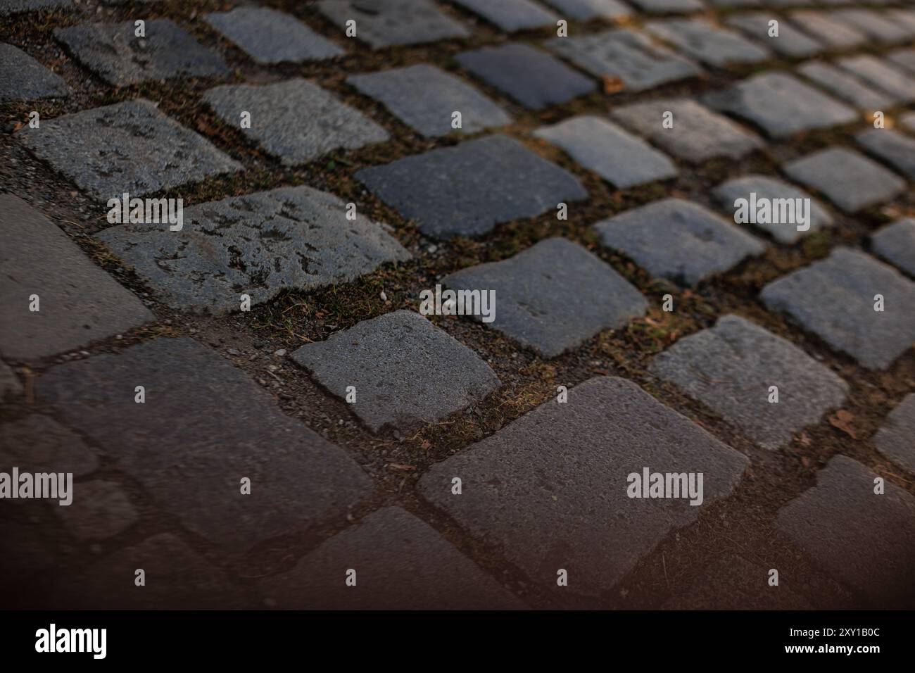 Picture of Textured stones create a charming walkway Stock Photo - Alamy