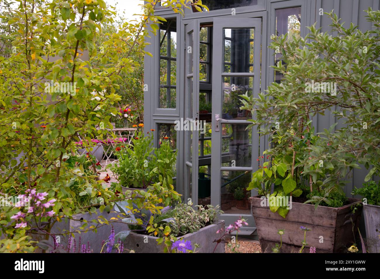 The French doors of the potting shed opening to a terrace of plant filled containers and herbaceous borders  in the Peat Free Garden.  Designer: Arit Stock Photo