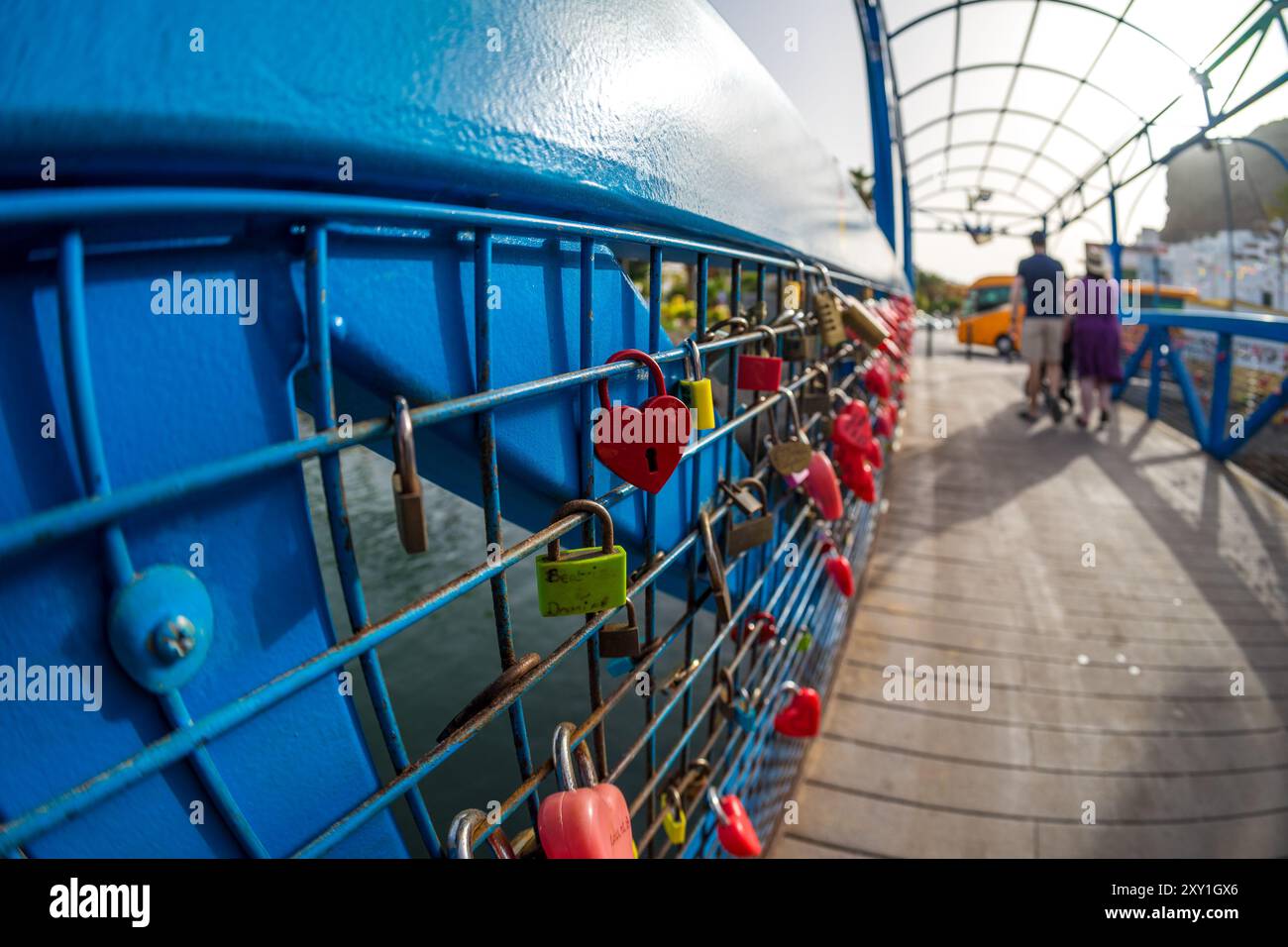 Heart-shaped padlocks as a symbol of love on the metal fence of the ...
