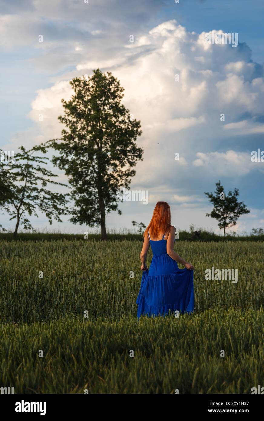Portrait of young woman in blue dress from back walking through ...