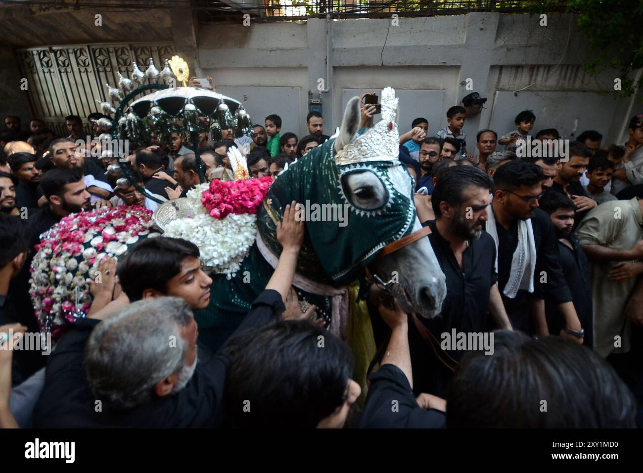 Peshawar, Peshawar, Pakistan. 27th Aug, 2024. Shiite Muslims mark ...