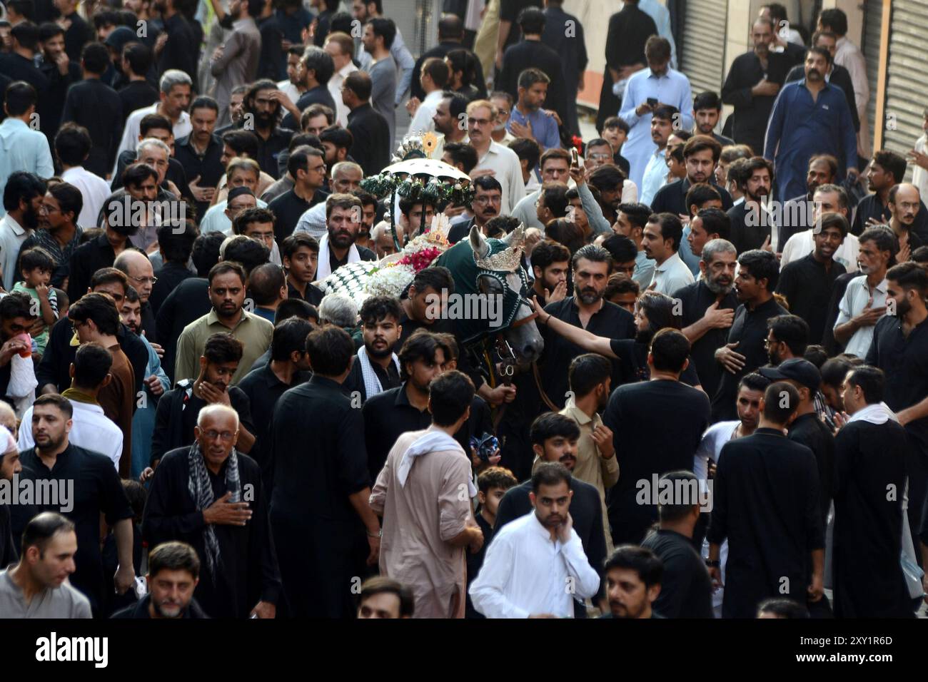 Peshawar, Peshawar, Pakistan. 27th Aug, 2024. Shiite Muslims mark ...