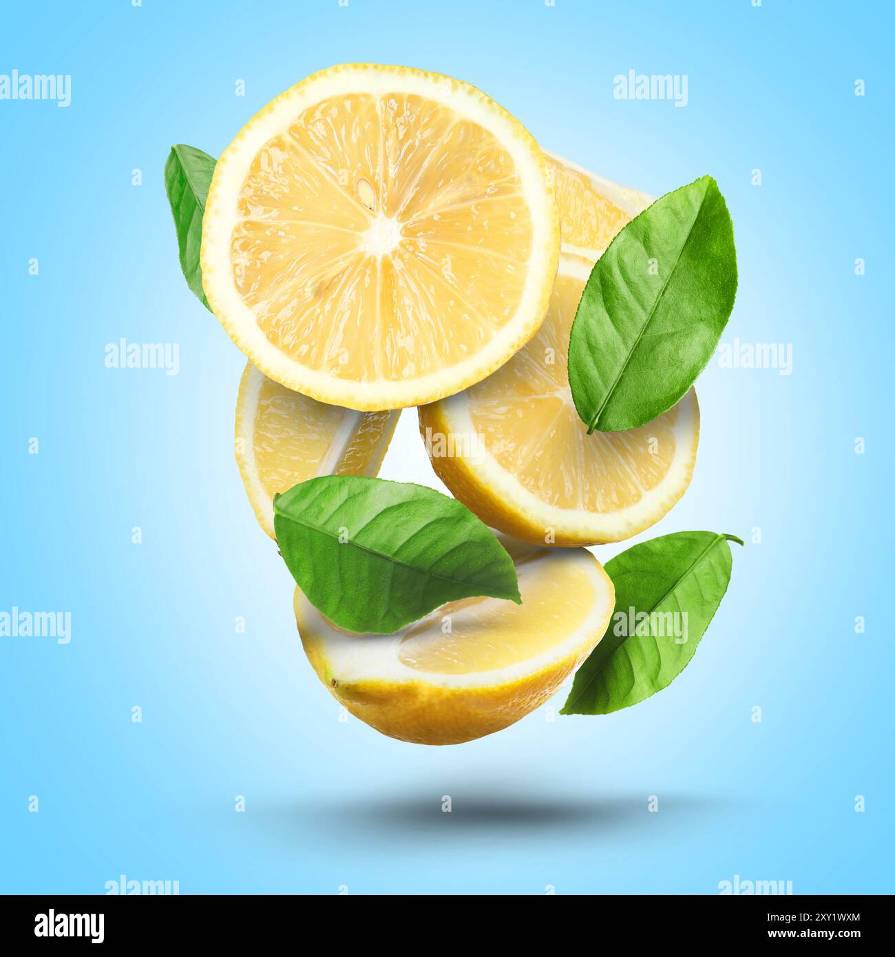 Fresh juicy lemons and green leaves falling on light blue background ...