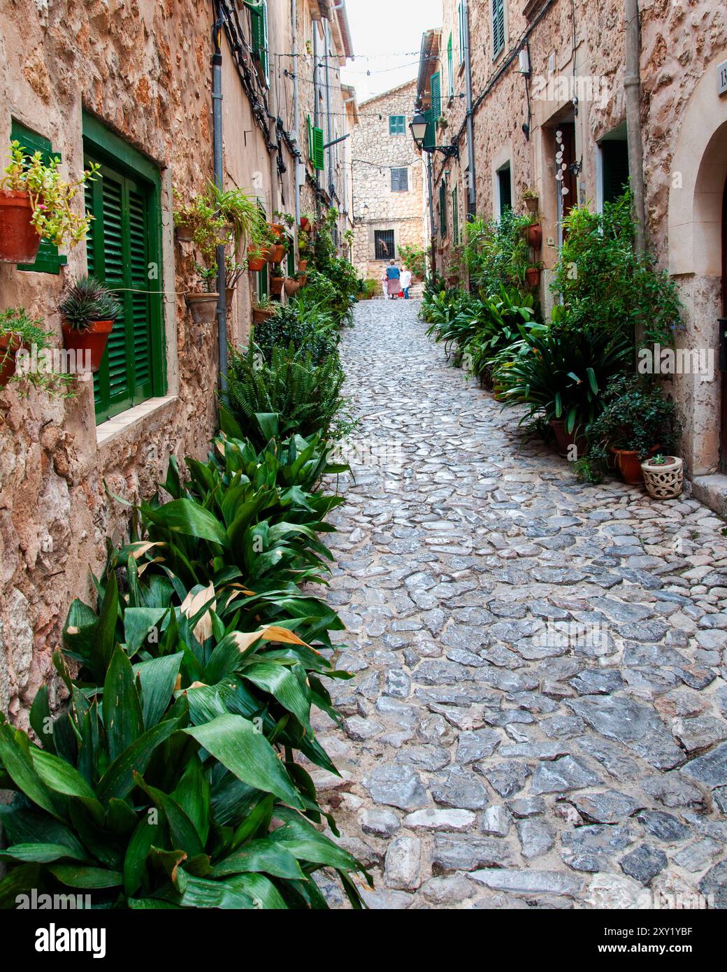 A portrait view of a pretty narrow street in the town of Valdemossa on ...