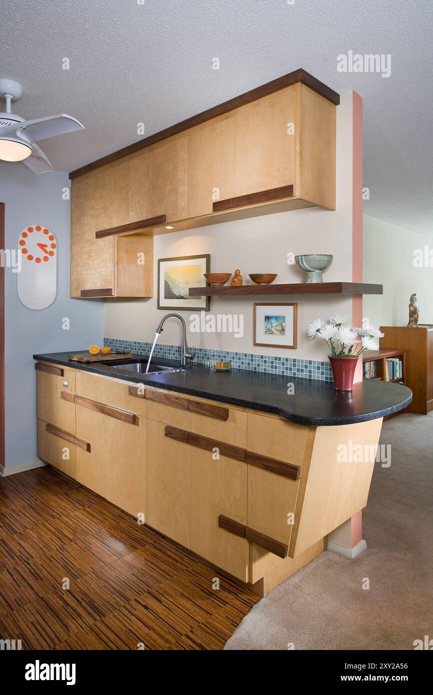 Interesting galley kitchen with modern Asian accents Stock Photo - Alamy, image size:866x1390