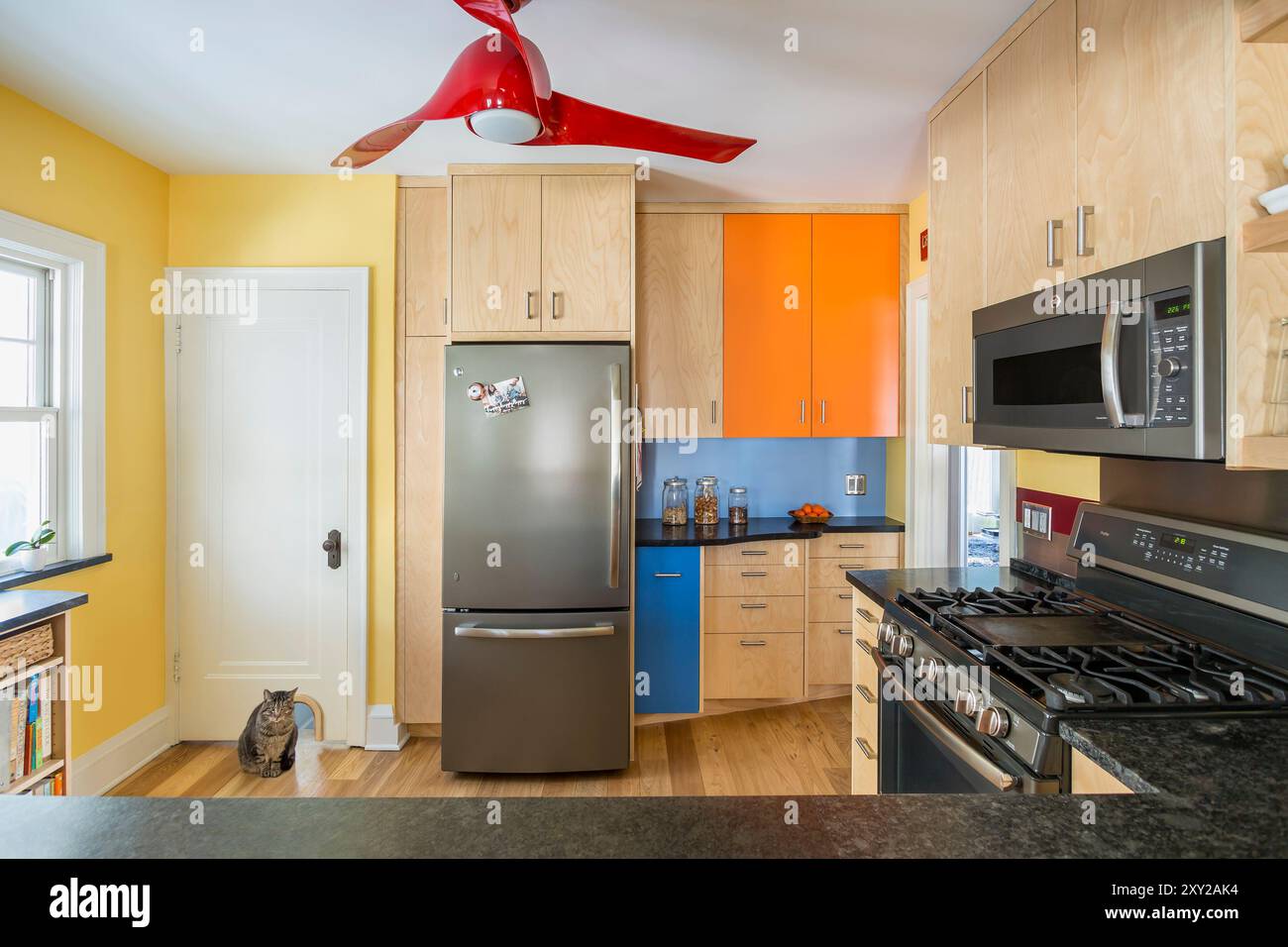 Door to basement has cat door at the bottom hi res stock photography and images Alamy