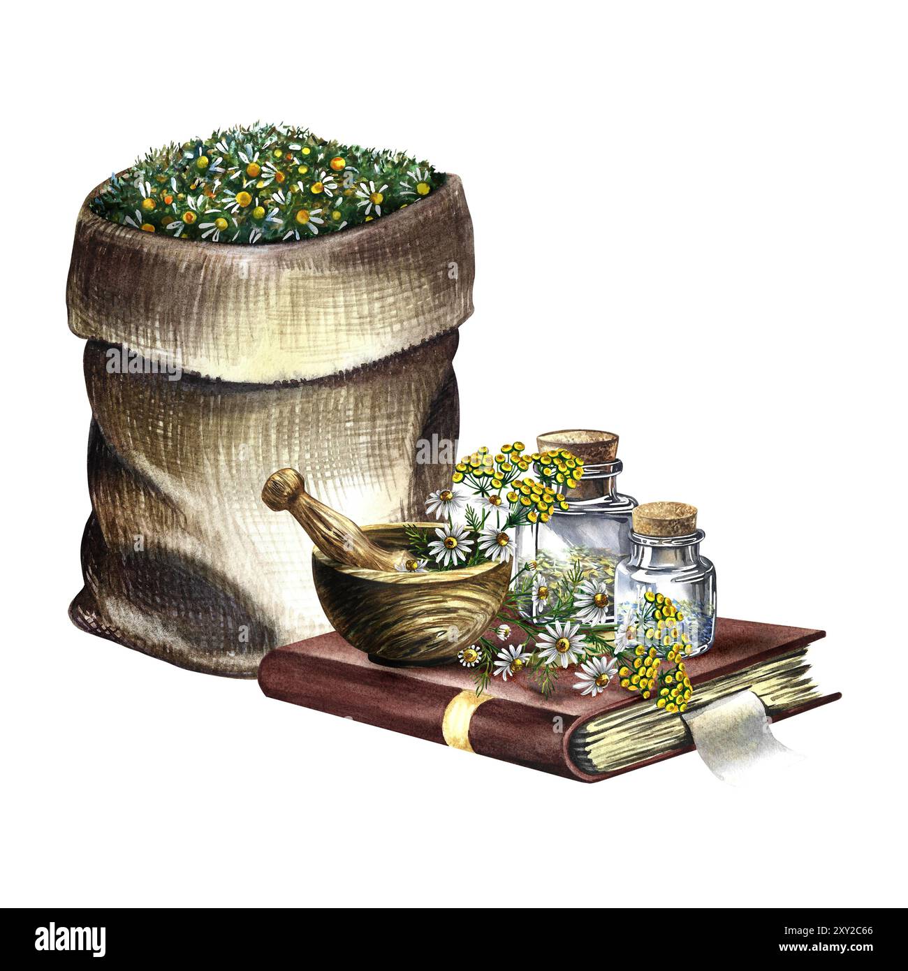 The book of medicinal herbs hi-res stock photography and images - Alamy