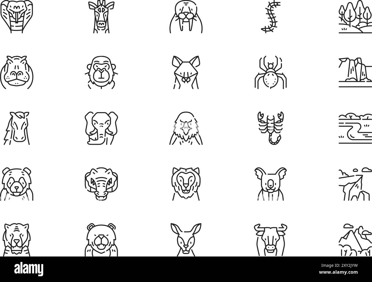 tiger-centipede-stock-vector-images-alamy