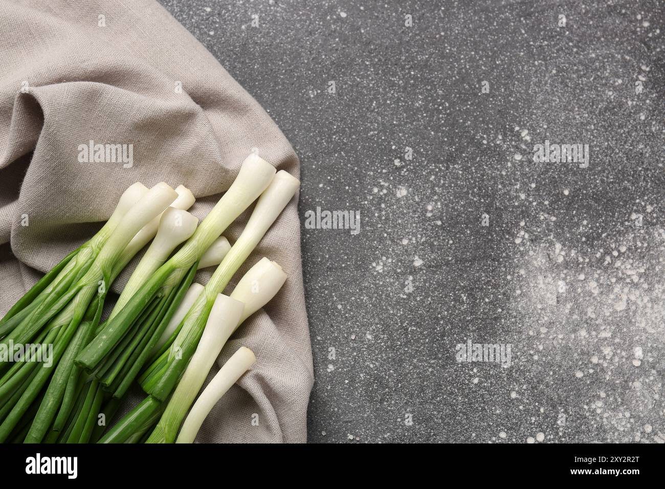 Fresh green onion on grey background Stock Photo - Alamy