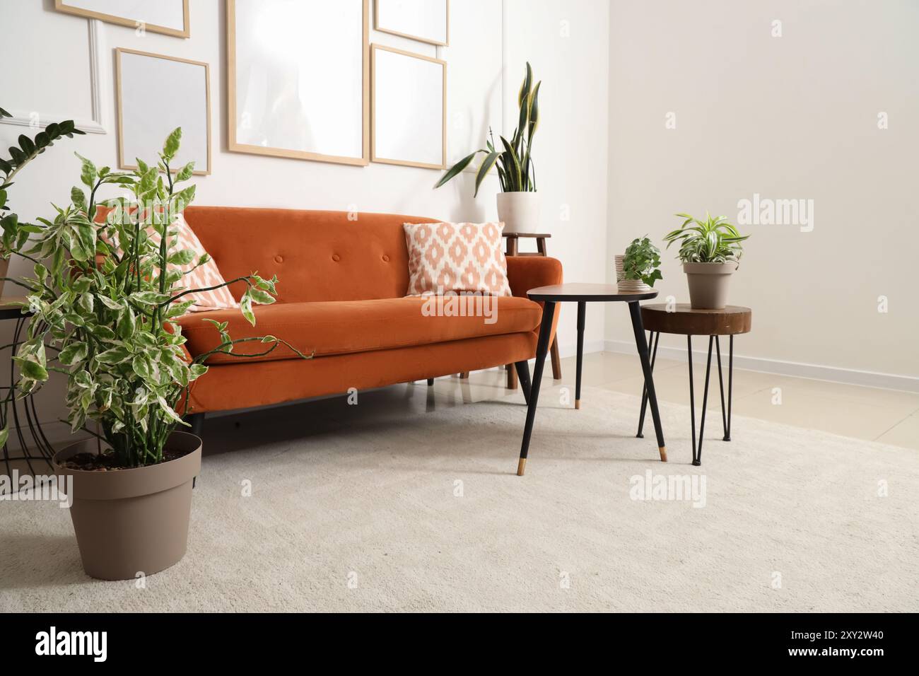 Interior of modern living room with orange sofa and houseplants near ...