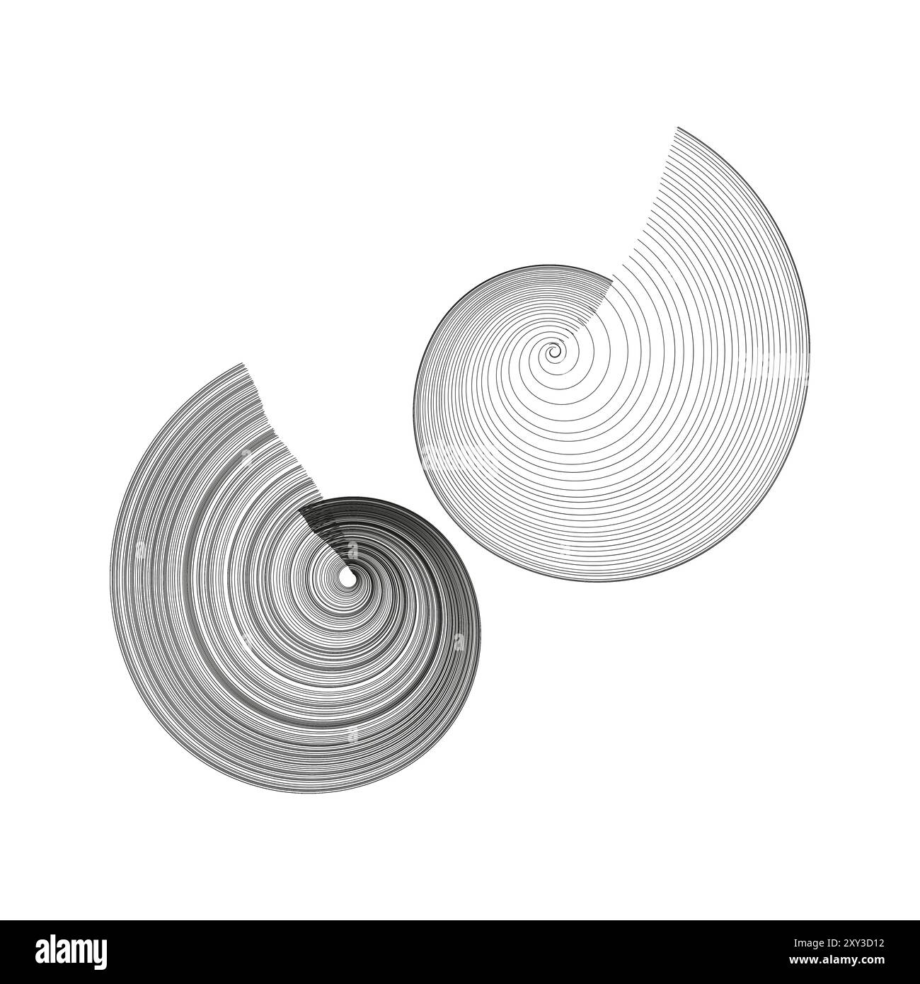 Abstract spiral shapes. Black and white lines. Nautilus inspired design ...