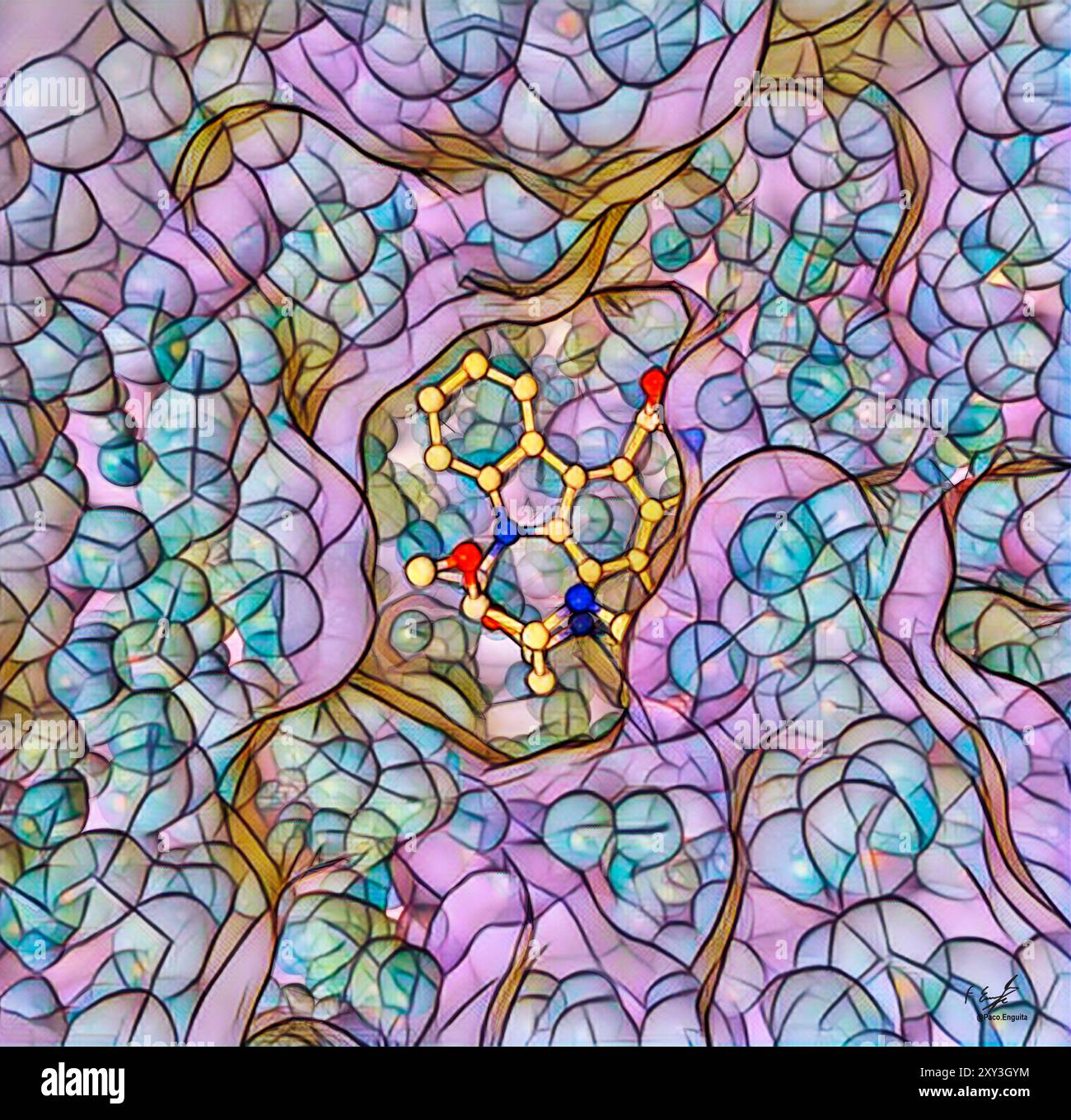 Illustration of the blood plasma protein alpha 1-acid glycoprotein (AGP ...