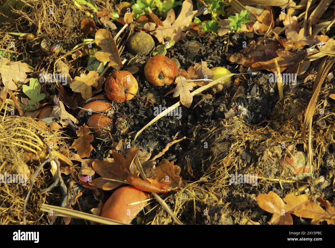 Compost structure hi-res stock photography and images - Alamy