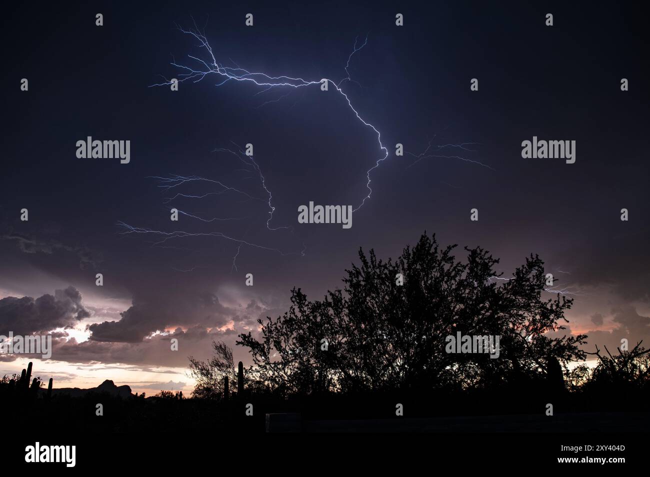 Lightning storm over the sonoran desert at sunset Stock Photo - Alamy