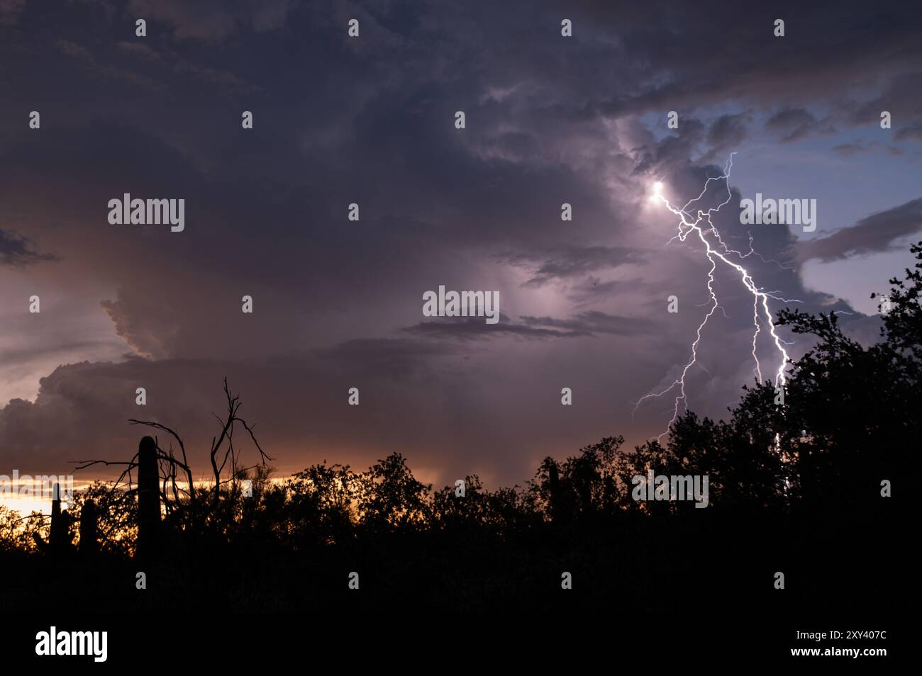 Lightning storm over the sonoran desert at sunset Stock Photo - Alamy