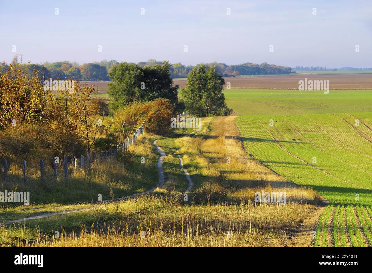 Landscape at Cape Arkona, Ruegen Island in Germany, coutryside on Cape Arkona, Ruegen Island in Germany Stock Photo