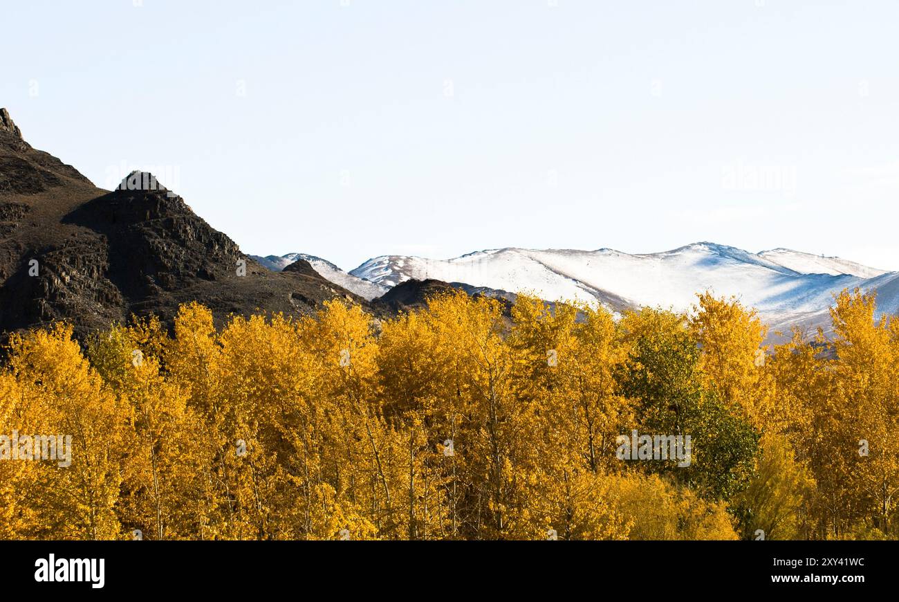 Beautiful landscapes in the Altai region in Western Mongolia Stock ...