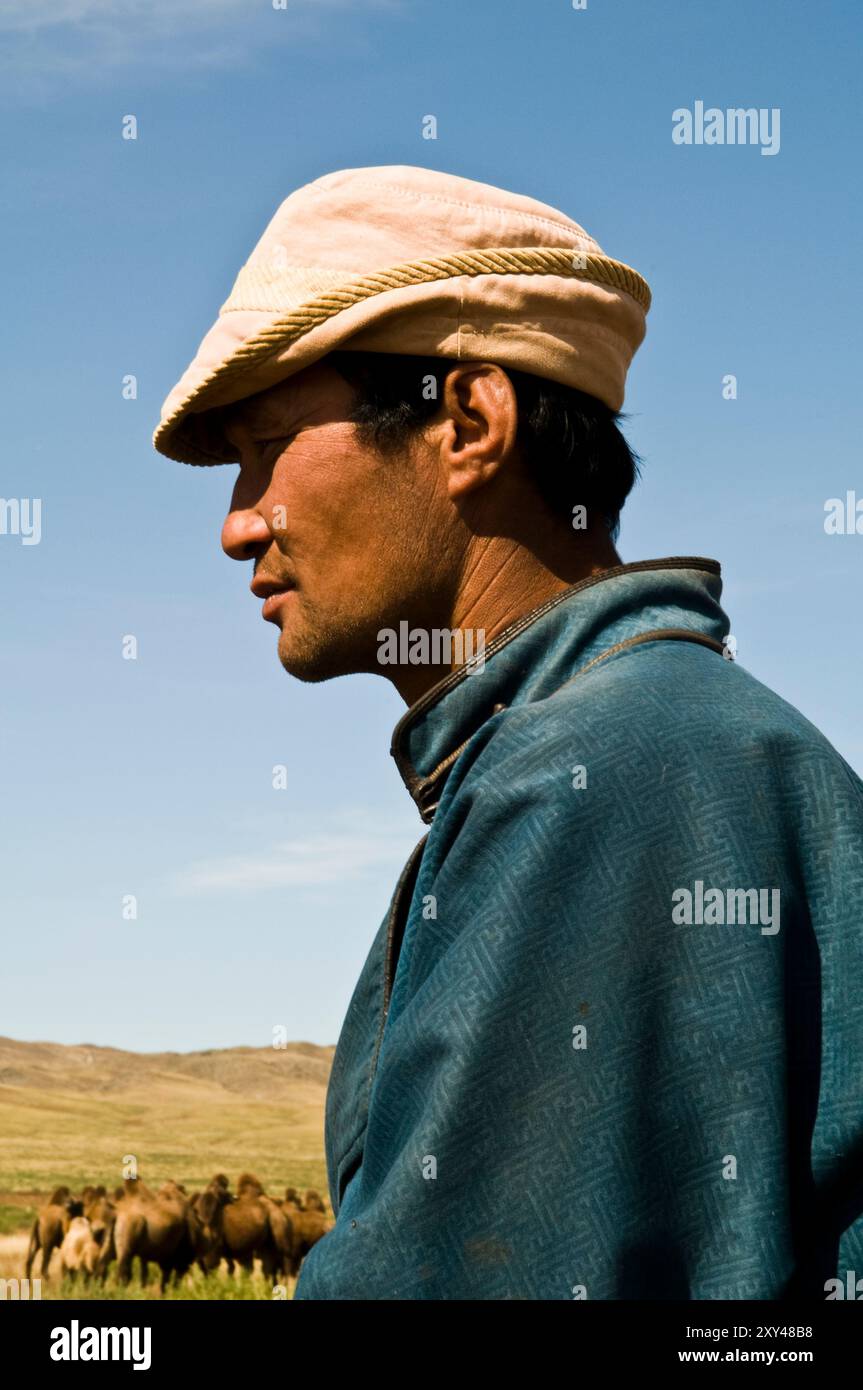 A Mongolian herdsman stands near a herd of double hump camels in the ...