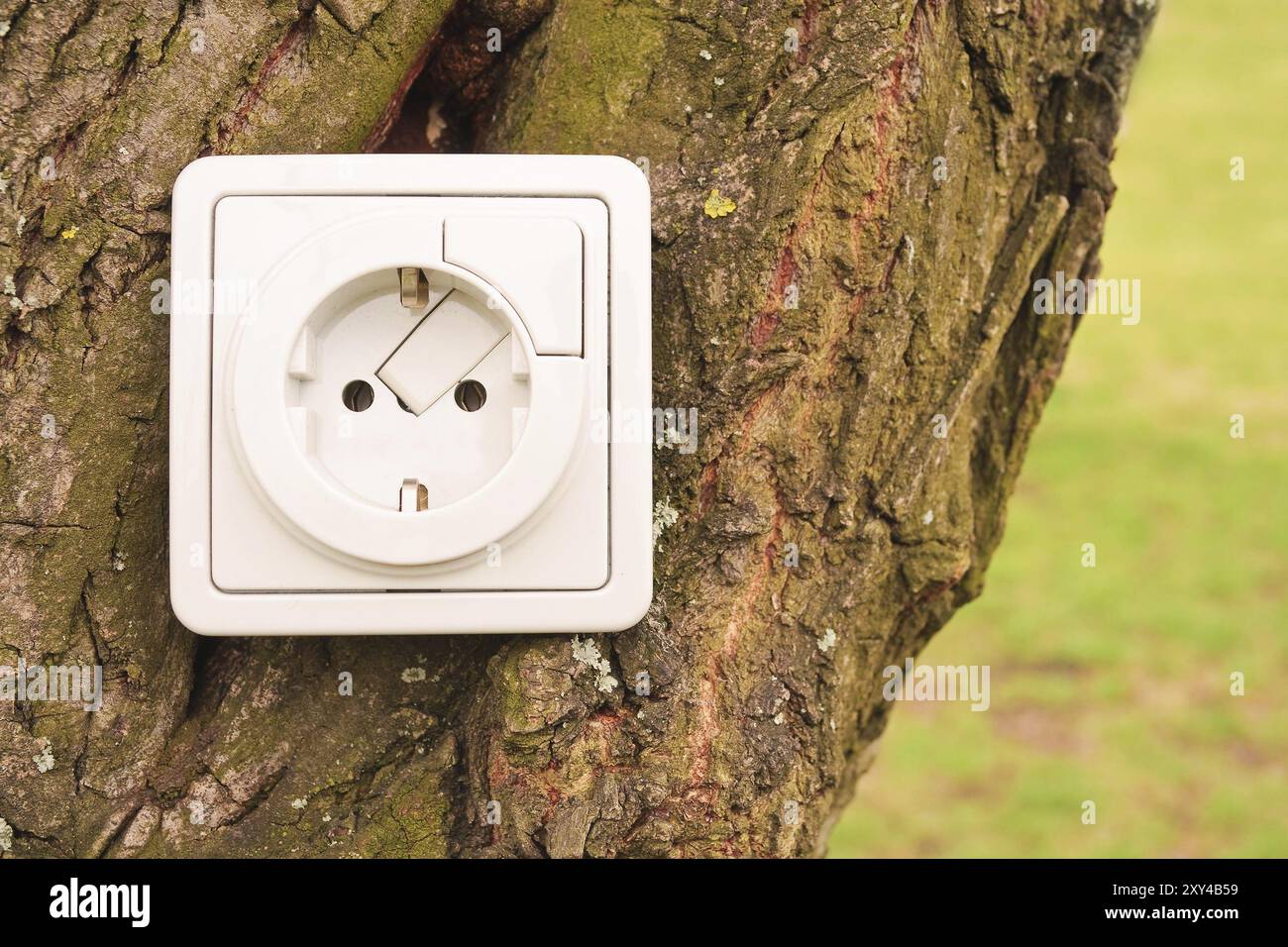 An electric plug fixed on a tree Stock Photo - Alamy