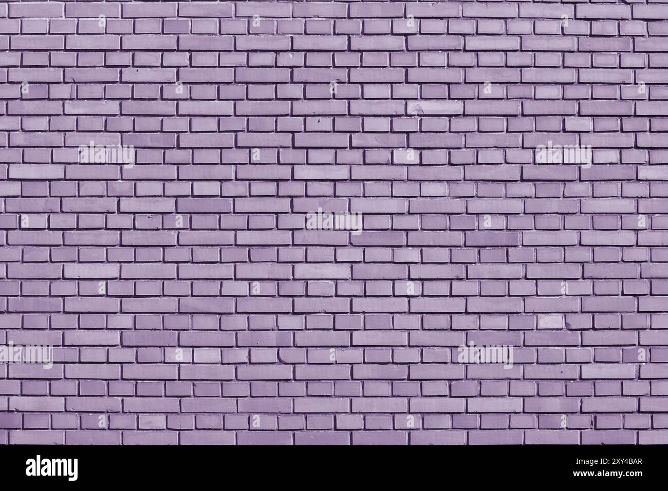 Crocus Petal colored brick wall background Stock Photo