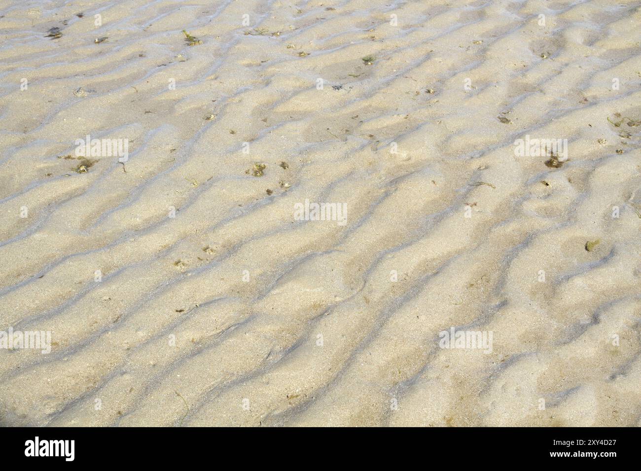 Tide and texture hi-res stock photography and images - Alamy