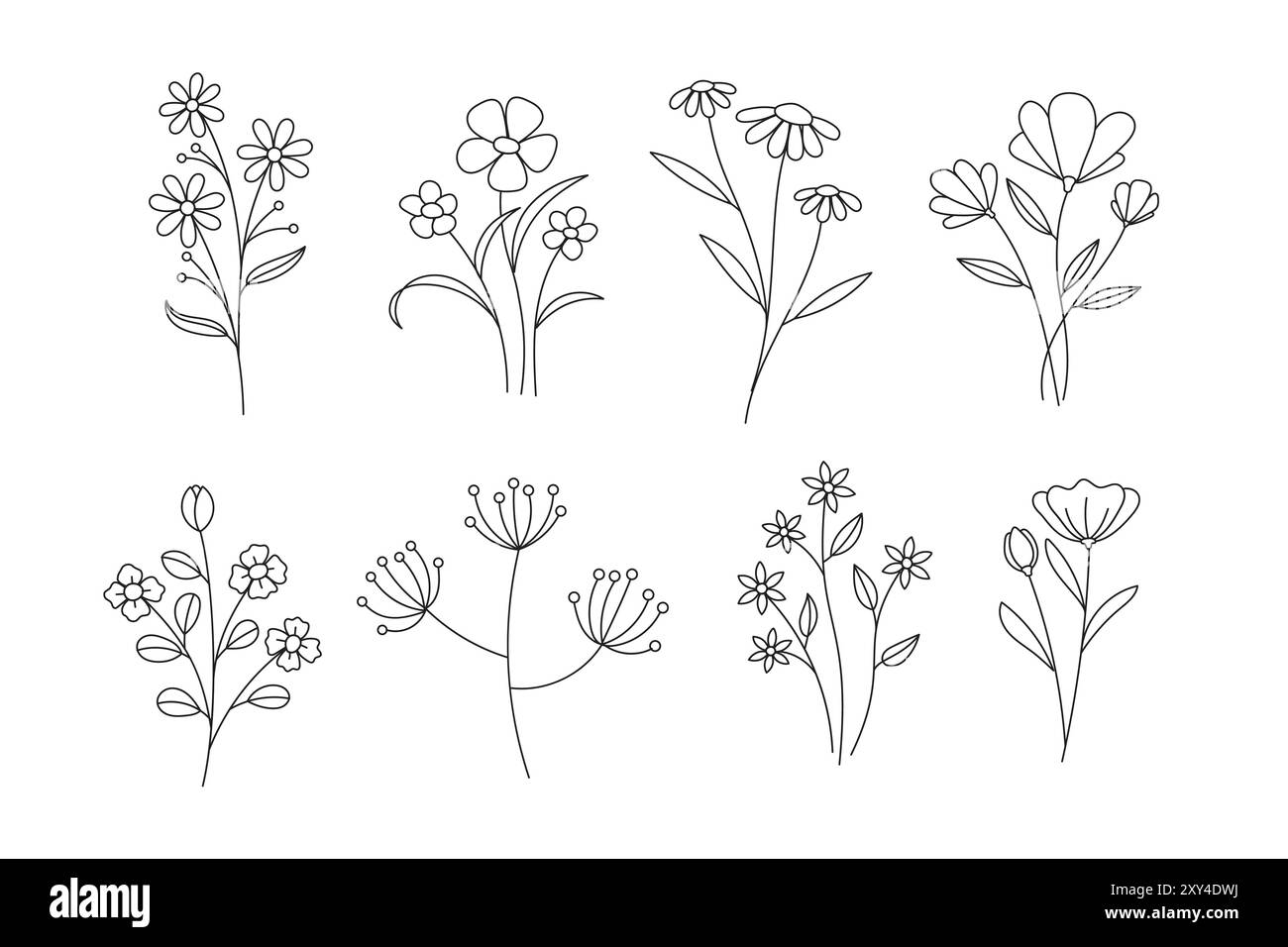 Graceful wildflowers growing upwards in a minimalist line art style, capturing intricate floral details for a touch of botanical charm Stock Vector