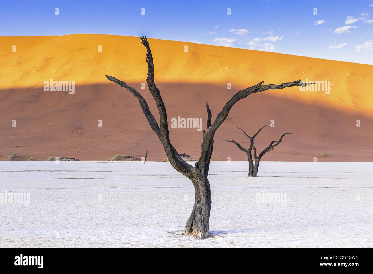 Deadvlei in namibia flat hi-res stock photography and images - Alamy