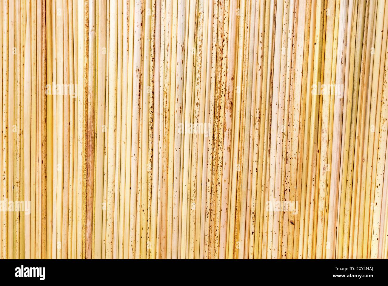 Braided reed plaited reeds hi-res stock photography and images - Alamy