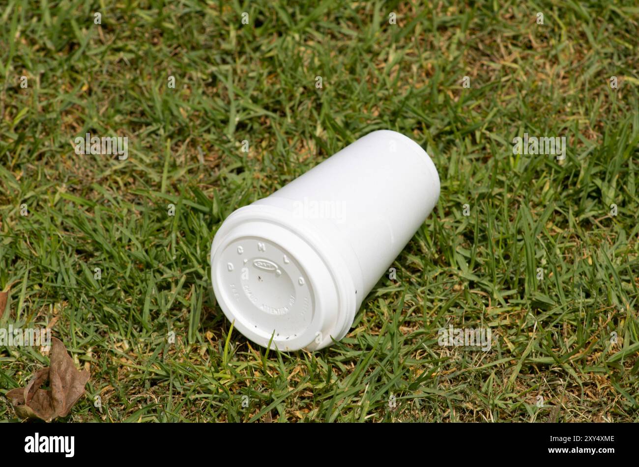 white takeout drink cup on grass Stock Photo