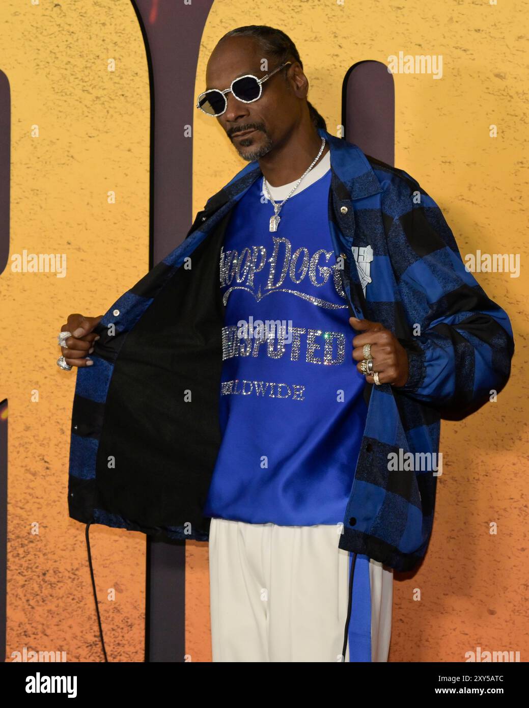 や*う様 snoop dogg ヴィンテージ SNOOP DOGG スヌープドッグ Doggy Style ビンテージ 古着