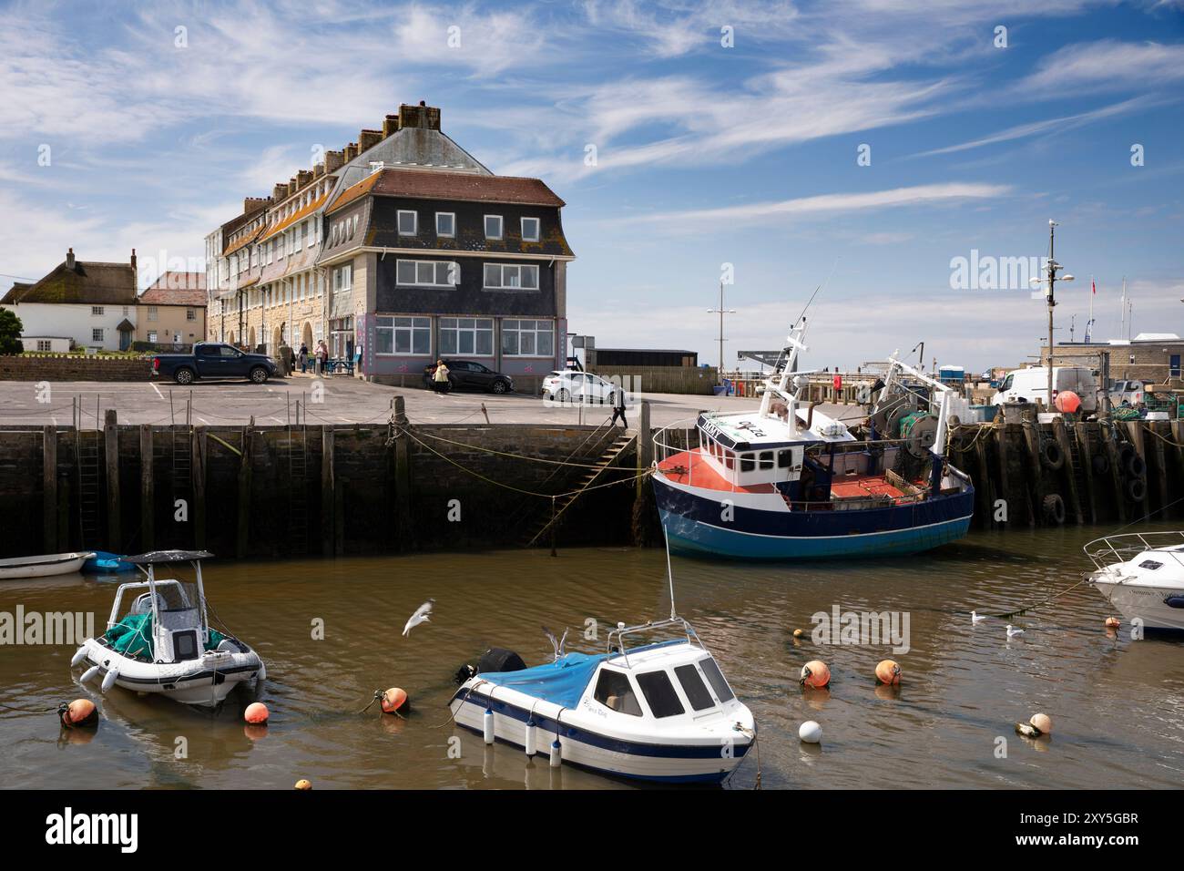 UK England, Dorset, Bridport, West Bay, Pier Terrace seafront apartments above harbour at low tid Stock Photo