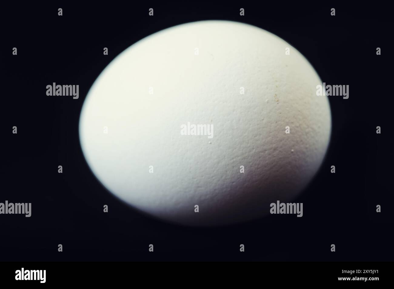 Single, white hen's egg against a black background Stock Photo