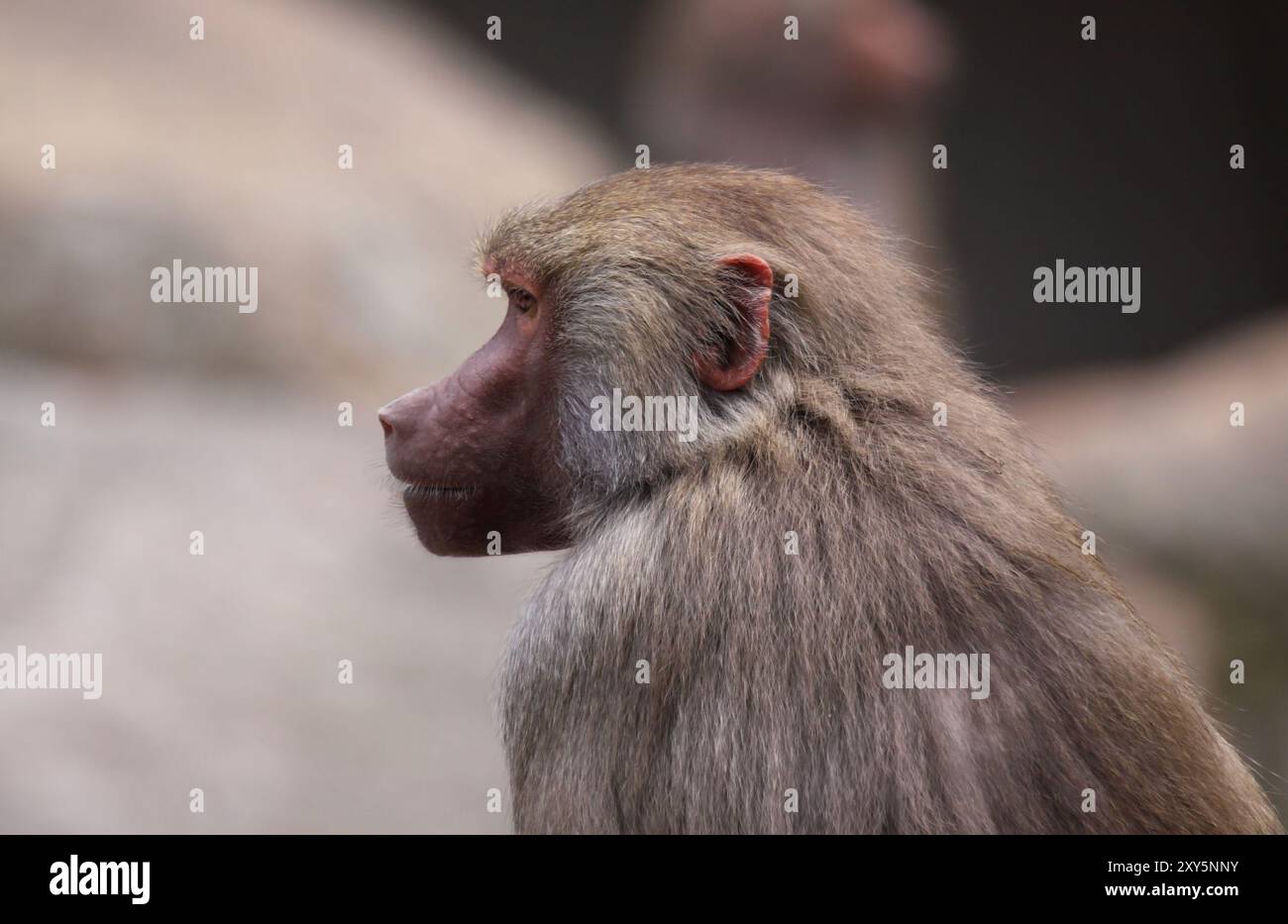 Deepened hi-res stock photography and images - Alamy
