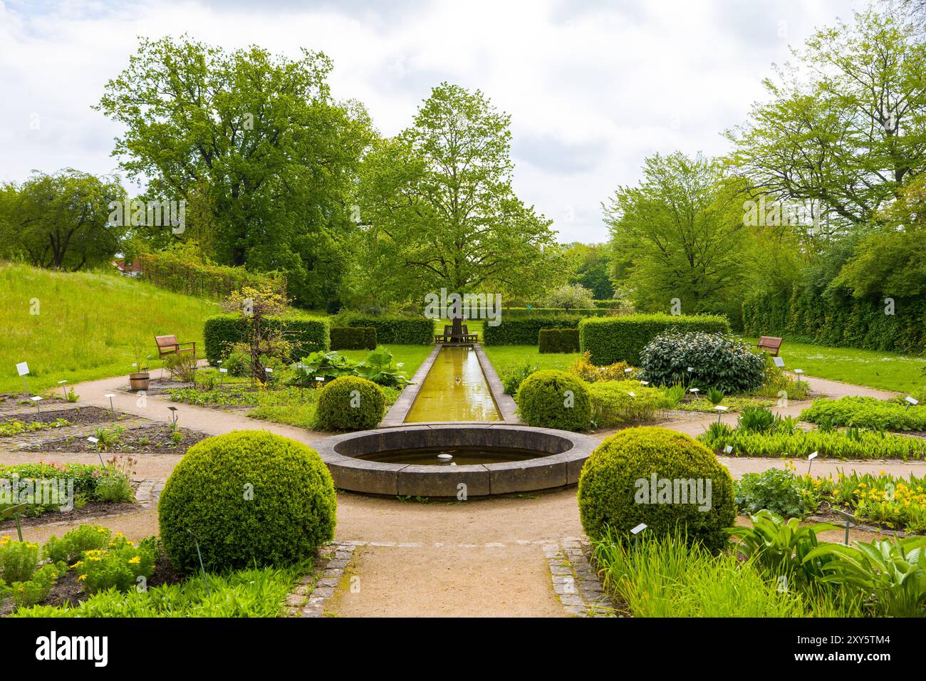 Medicinal plant garden, Celle, Lower Saxony, Germany, Europe Stock