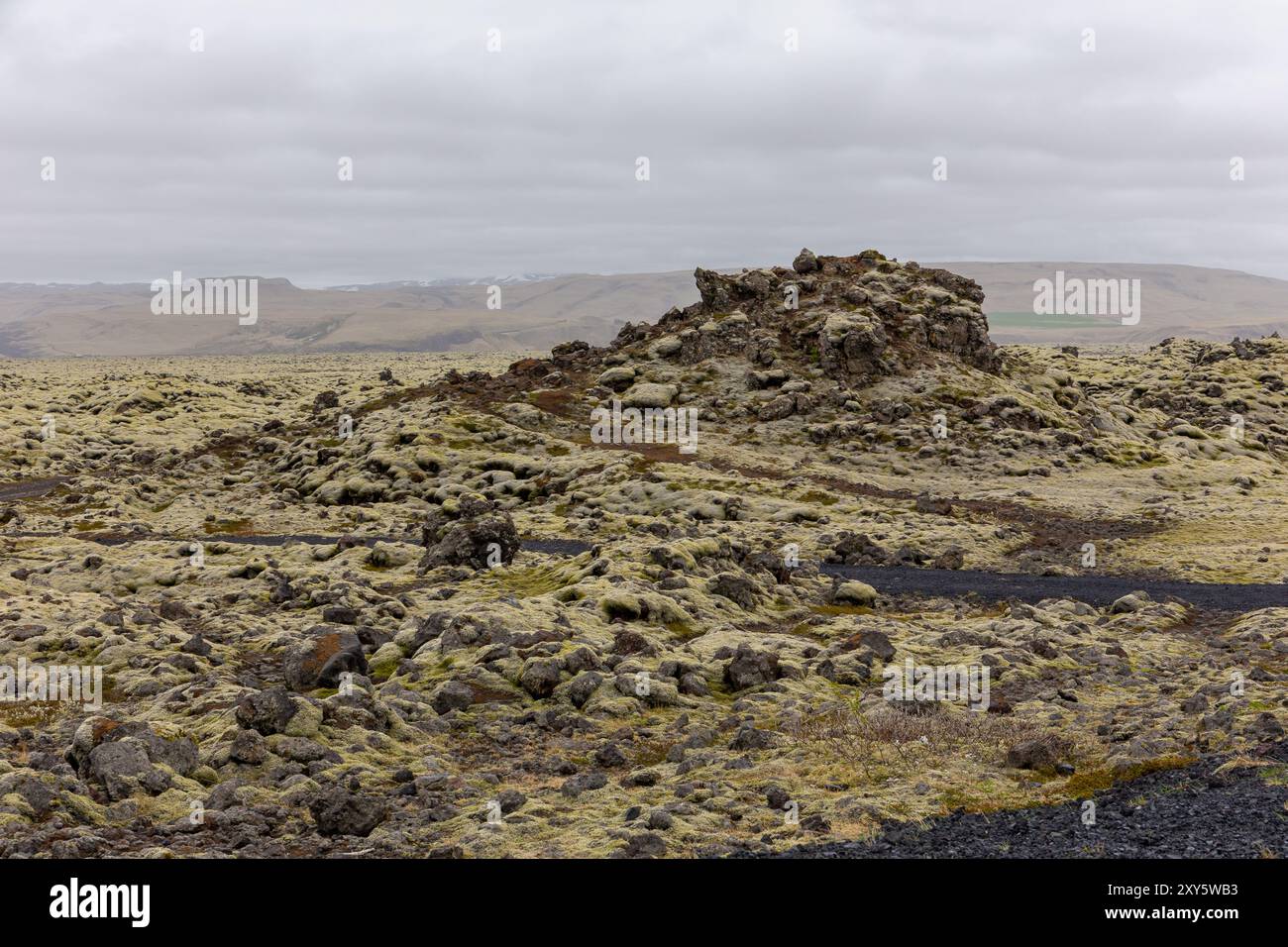 Eldhraun Lava Field (Mossy Lava Fields) in Southern Iceland, frozen basaltic lava covered with green woolly fringe moss Stock Photo