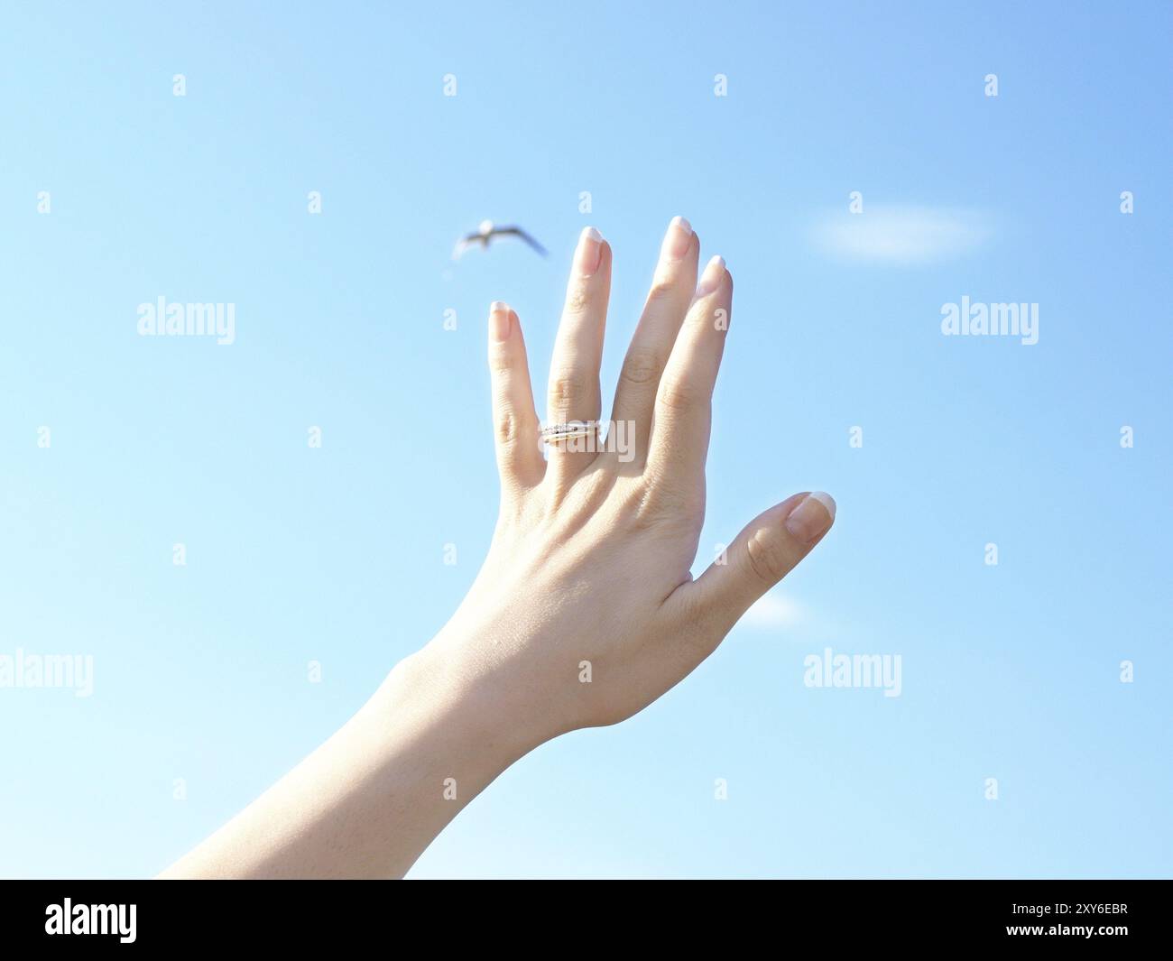 Woman reaching towards sky hi-res stock photography and images - Alamy