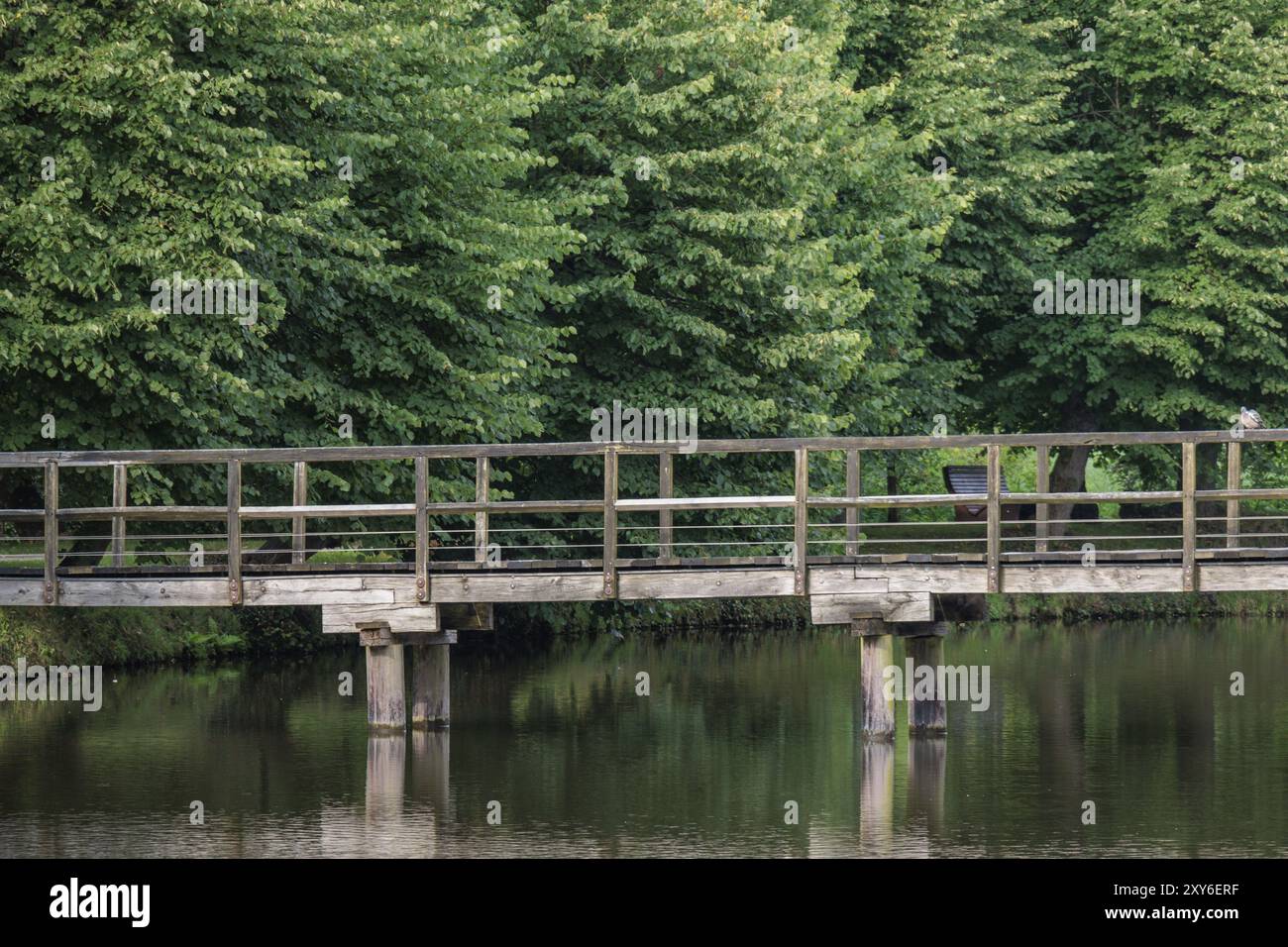 A simple wooden bridge leads over calm water, embedded in a green ...