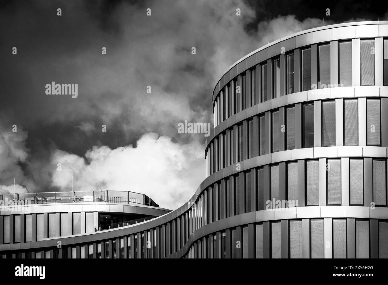 jobangebote rostock