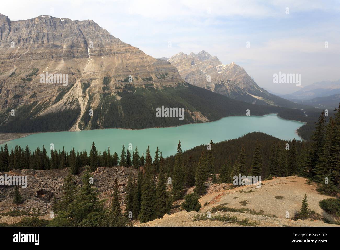 Peyto Lake in Banff National Park in Alberta Canada Stock Photo - Alamy