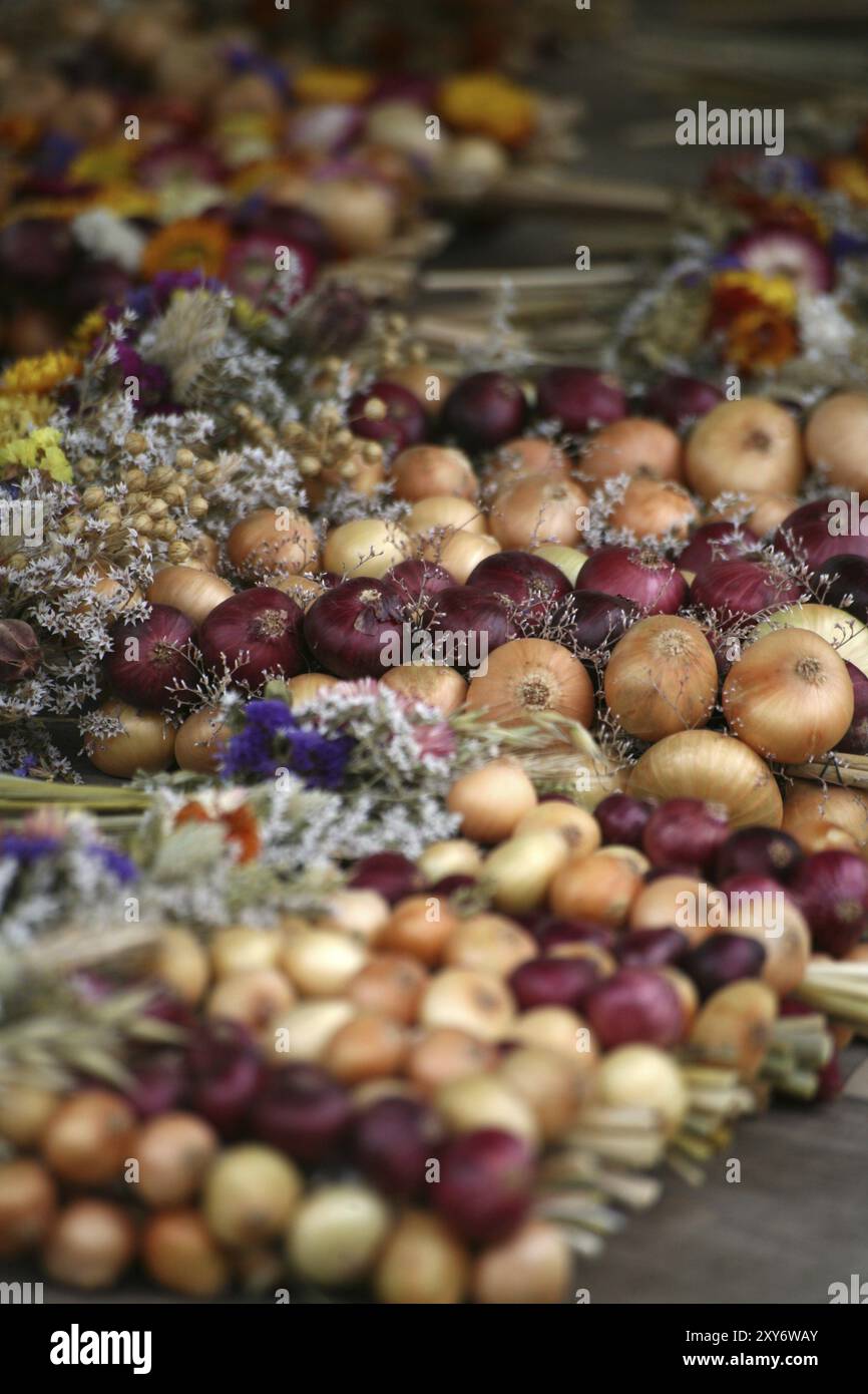 Fully cooked vegetable onions Stock Photo - Alamy