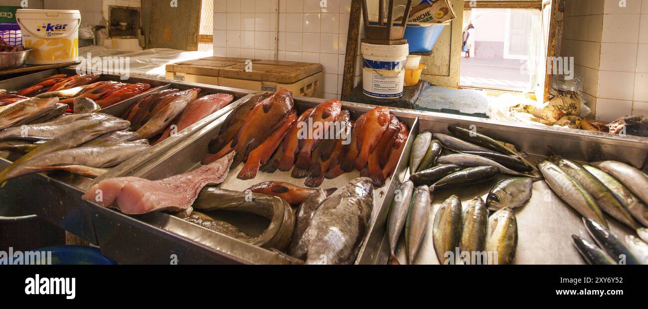 Fresh fish in a small shop Stock Photo - Alamy