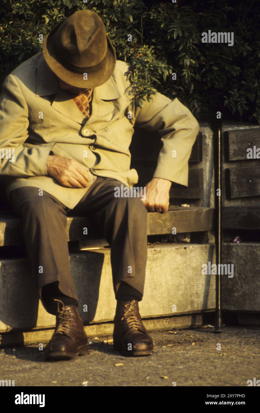 Old man on a park bench Stock Photo - Alamy