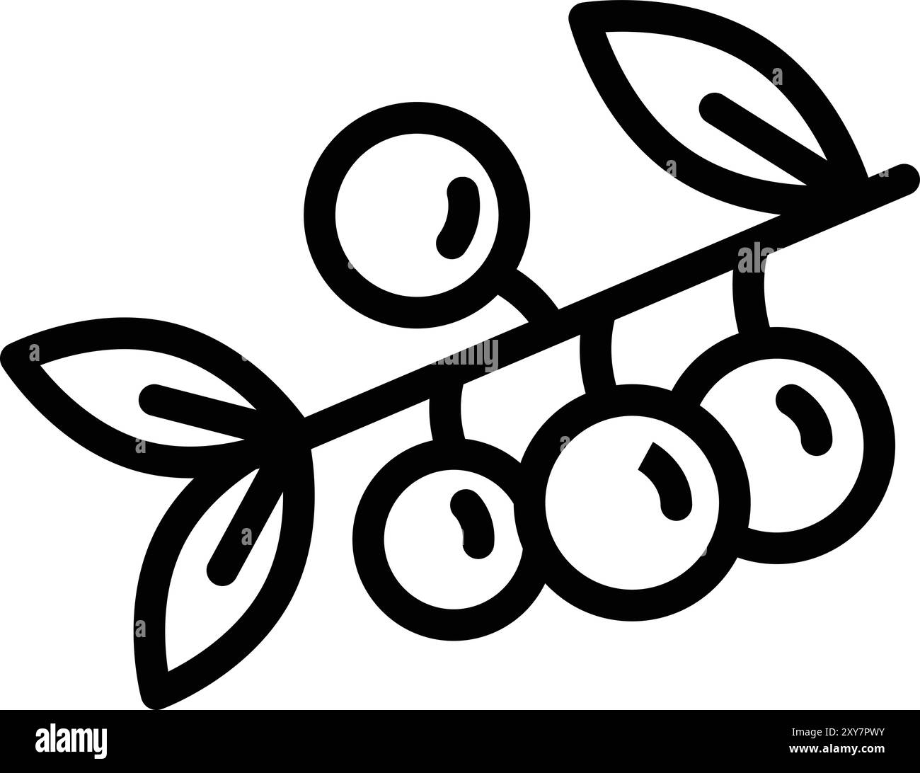 Berries Vector Icon Design Illustration Stock Vector
