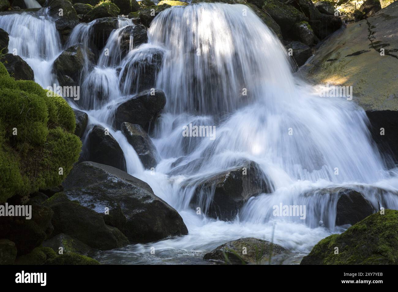 Stream in the alps hi-res stock photography and images - Alamy