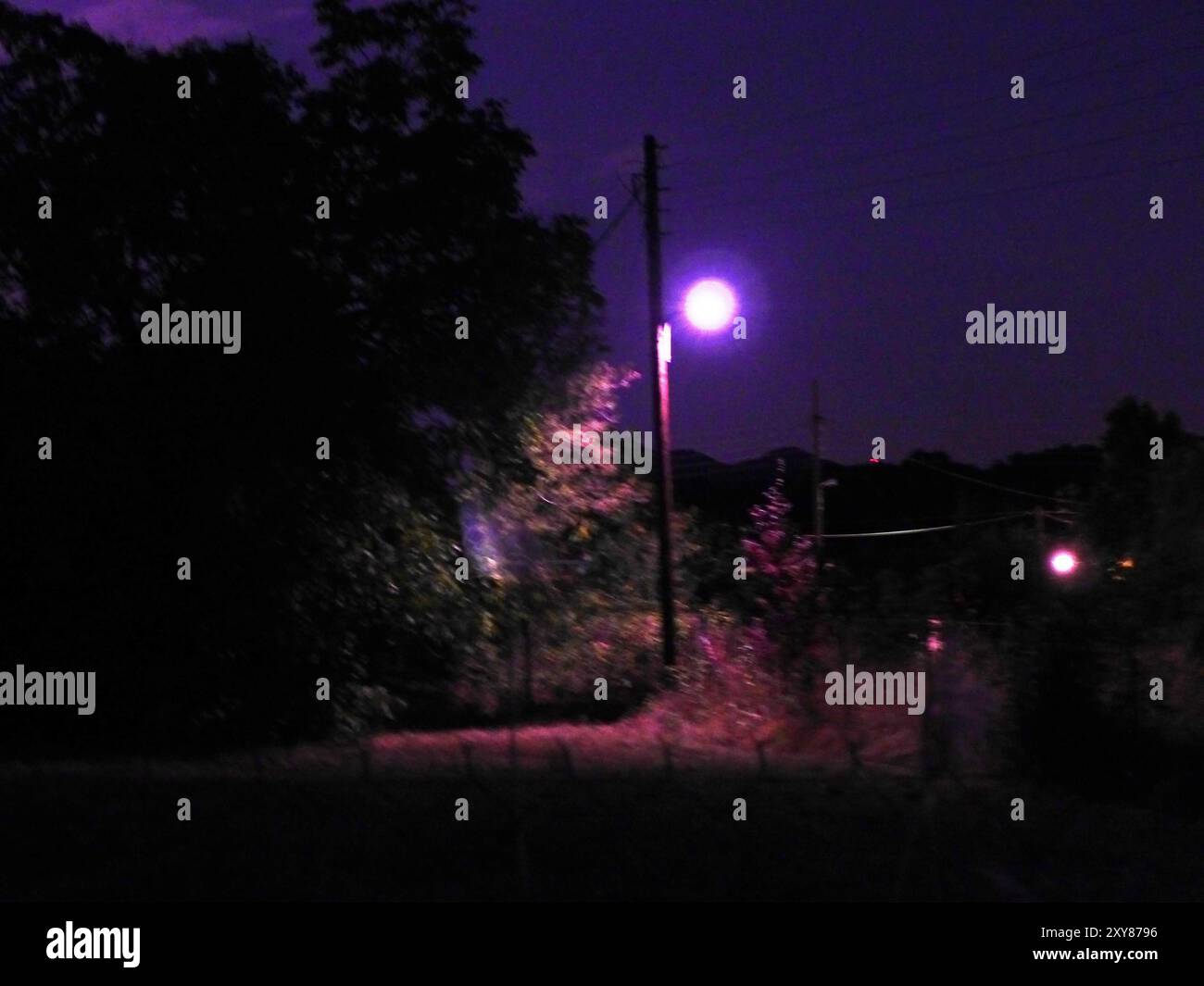 Full moon fir trees night hi-res stock photography and images - Alamy