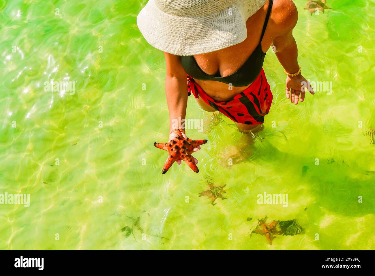 Woman tourist happy hold red starfish on star fish beach in famous ...
